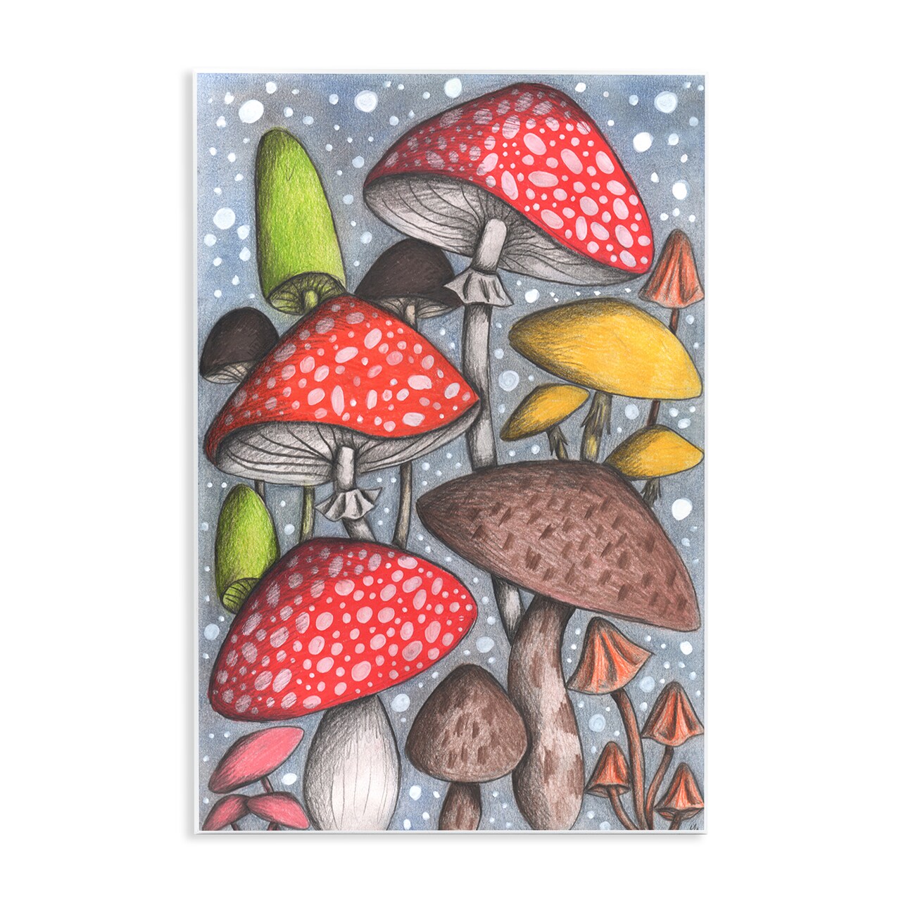 Stupell Industries Sketched Magical Mushrooms Wall Plaque, design by Cecilia Battaini